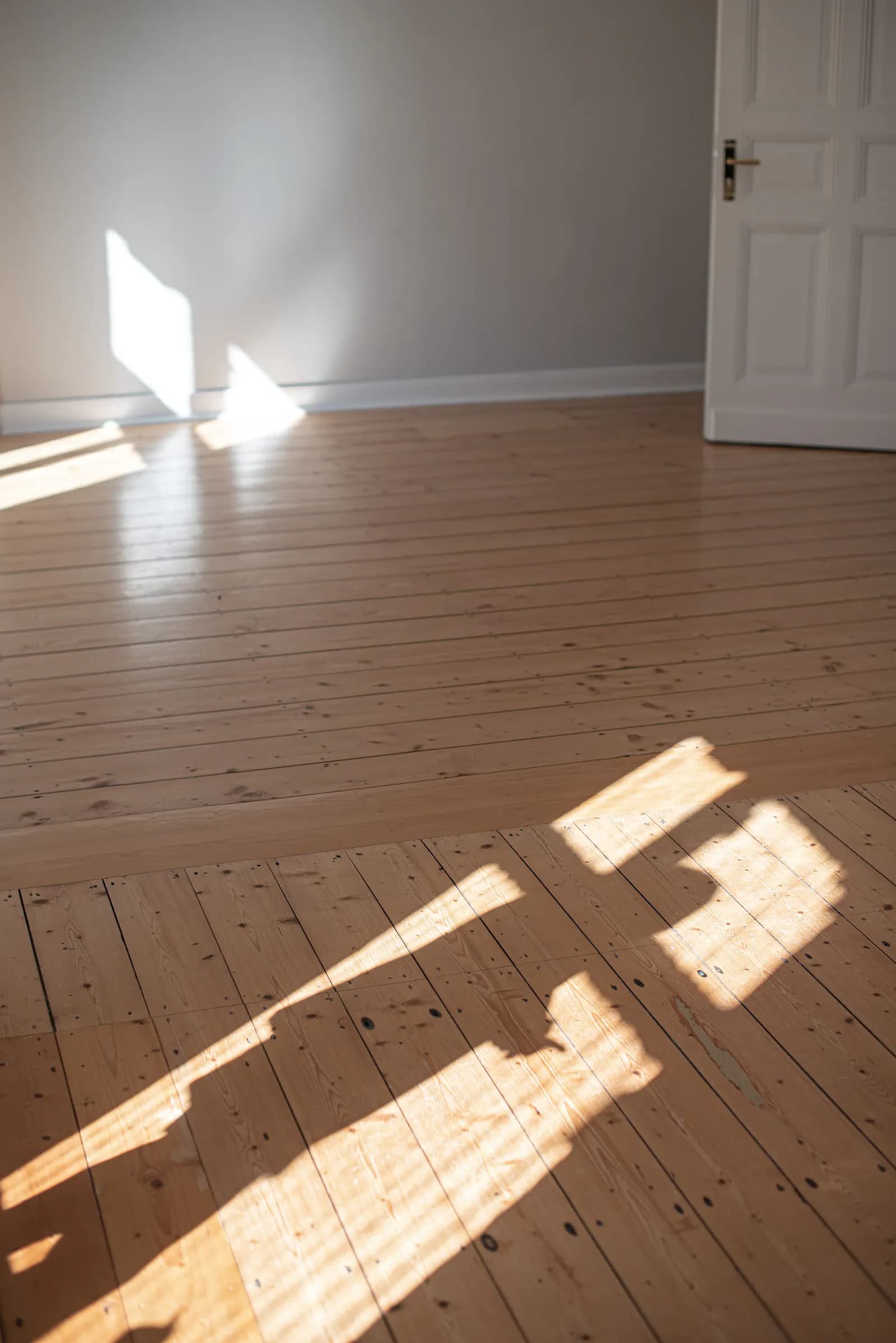 Freshly cleaned and polished hardwood flooring catching natural light