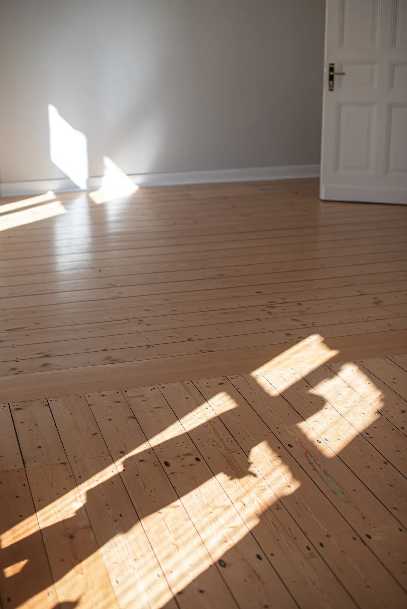 Freshly cleaned and polished hardwood flooring catching natural light